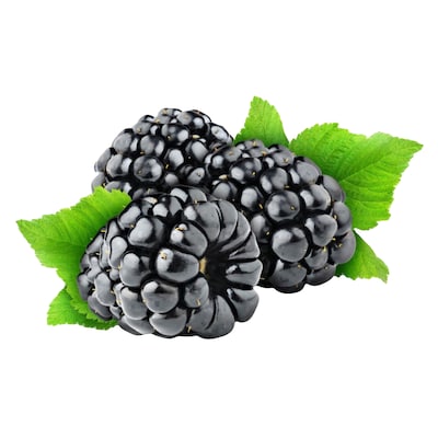 Blackberries Punnet