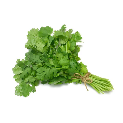 Cilantro (Dhania) Bunch