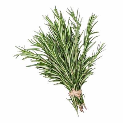 Rosemary Bunch