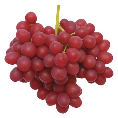 Grapes Red Punnet