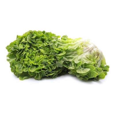 Lettuce Soft 1Pc