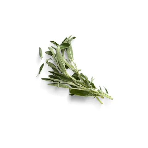 Sage Bunch