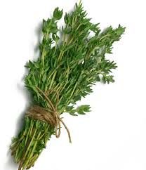 Thyme Bunch