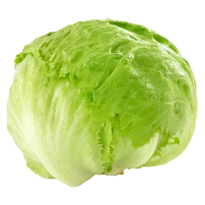 Lettuce Hard 1Pc