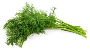 Dill Bunch