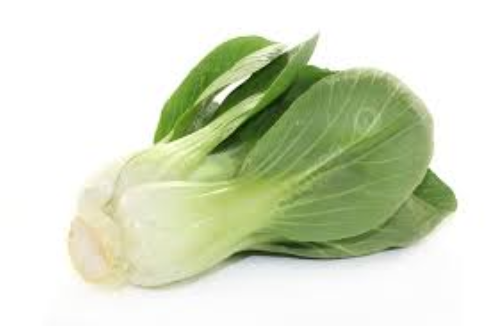AAA WHOLE HEAD PAKCHOI 