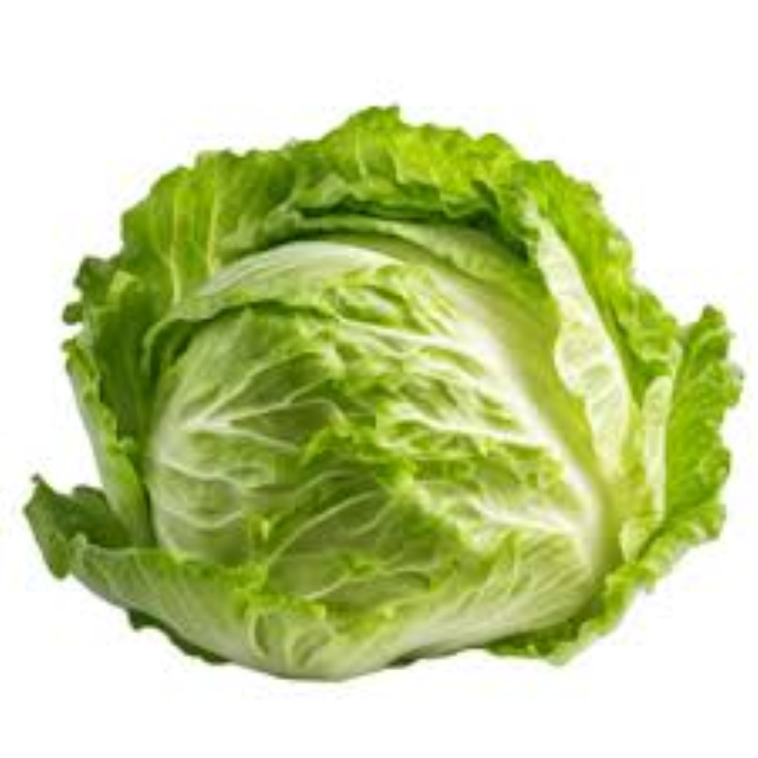 AAA ICEBERG LETTUCE 