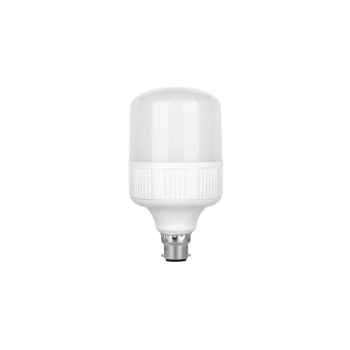 Bulb LED Tronic 30W B22 DL LE 3022-DL