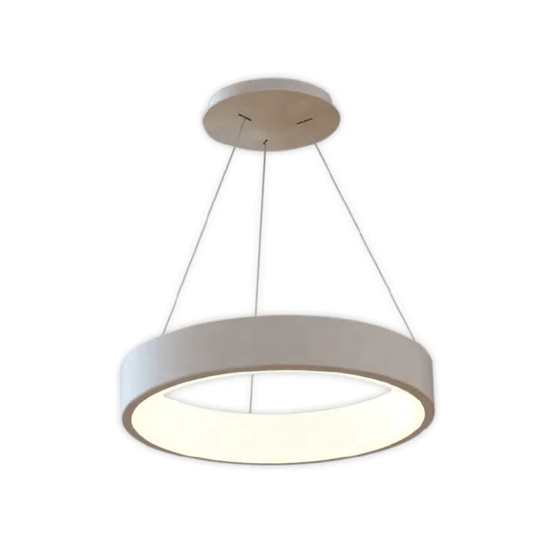 Modern Simple Circular Hanging Light