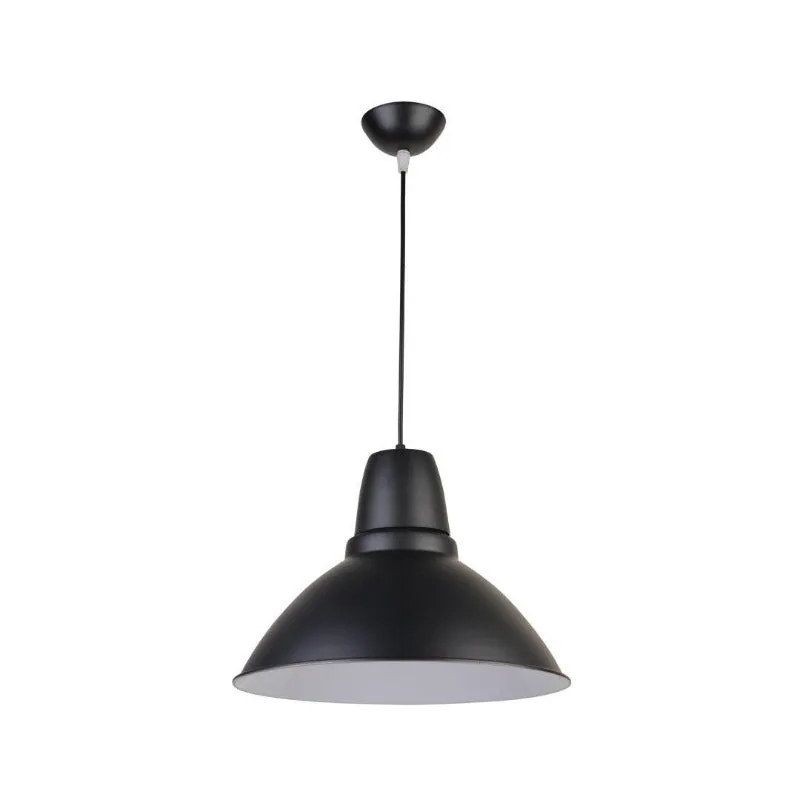 Black Dome Pendant Light