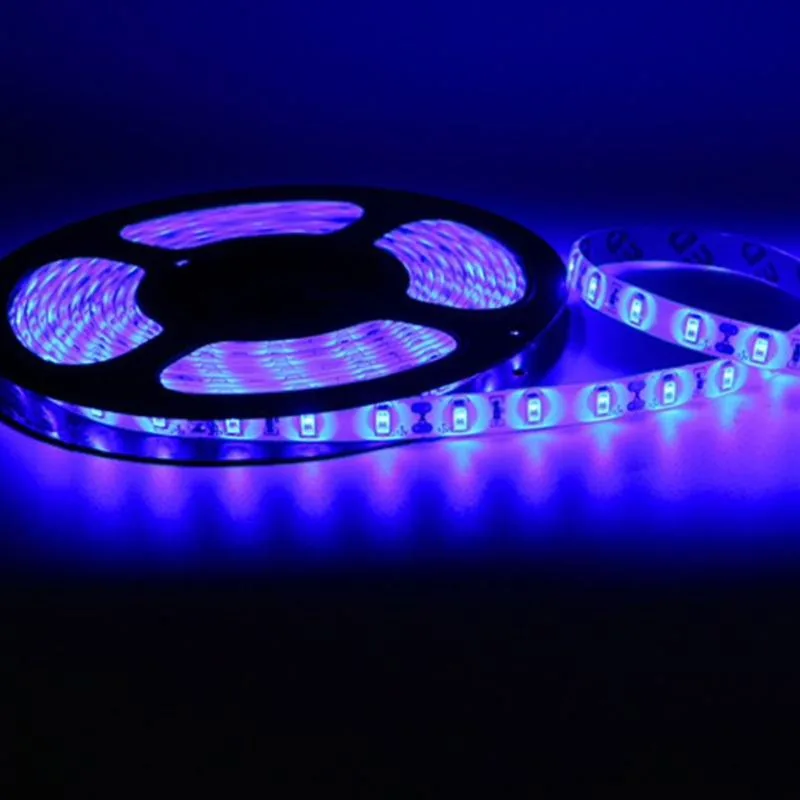 Series Light 5 Meters Blue