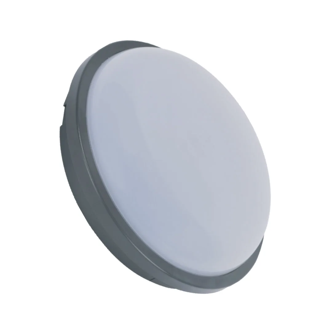 20W LED Surface Ceiling Light