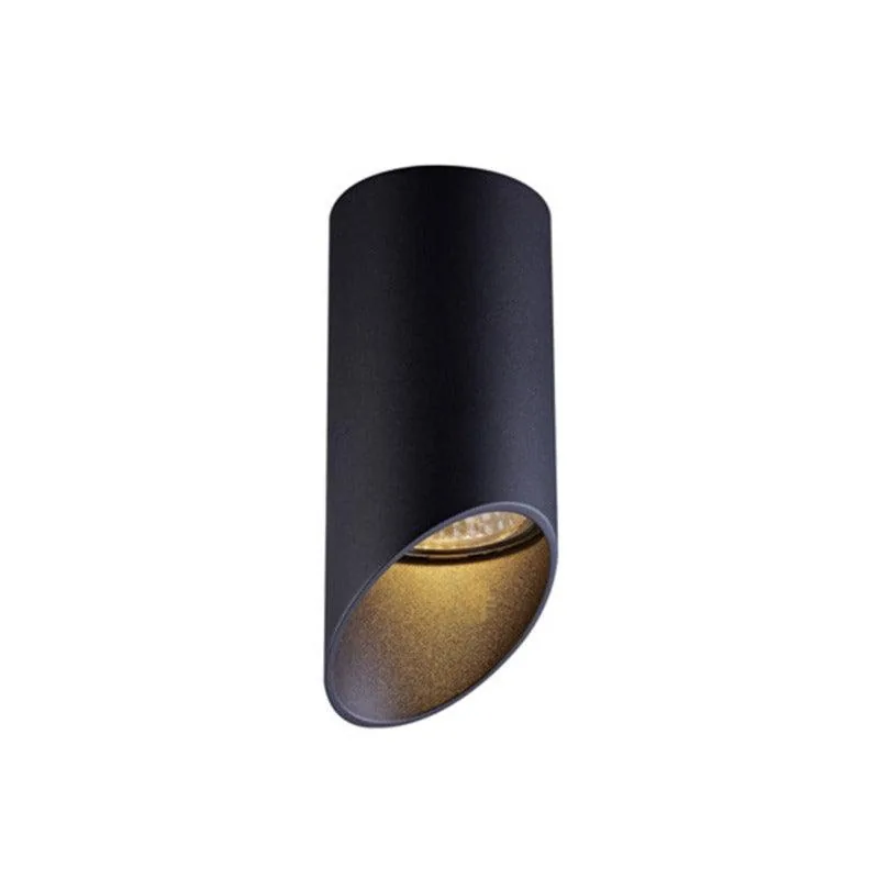 Spherical Black Ceiling Light