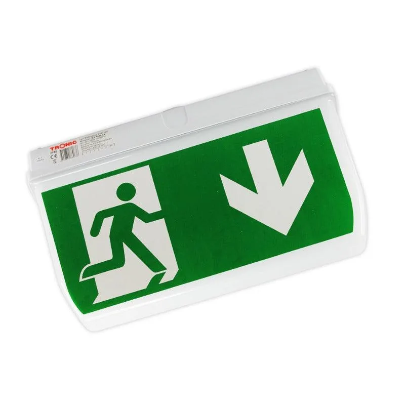 Ceiling Mounted LED Exit Light