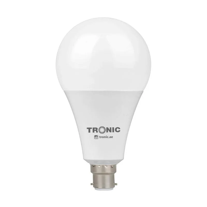 A6 LED 25 Watts B22 (Pin) Day Light Bulb