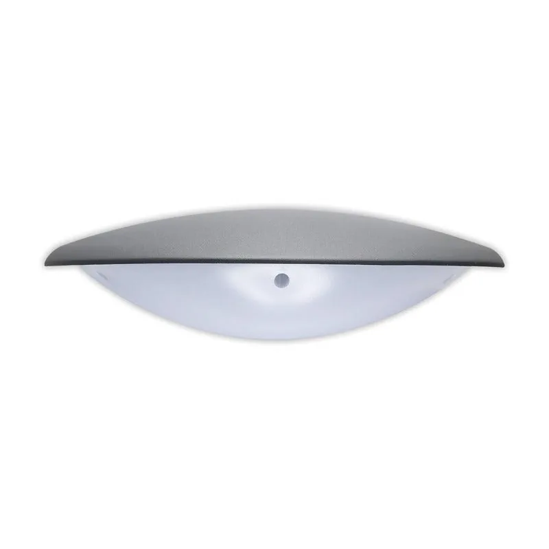 LED Halfmoon Wall Light