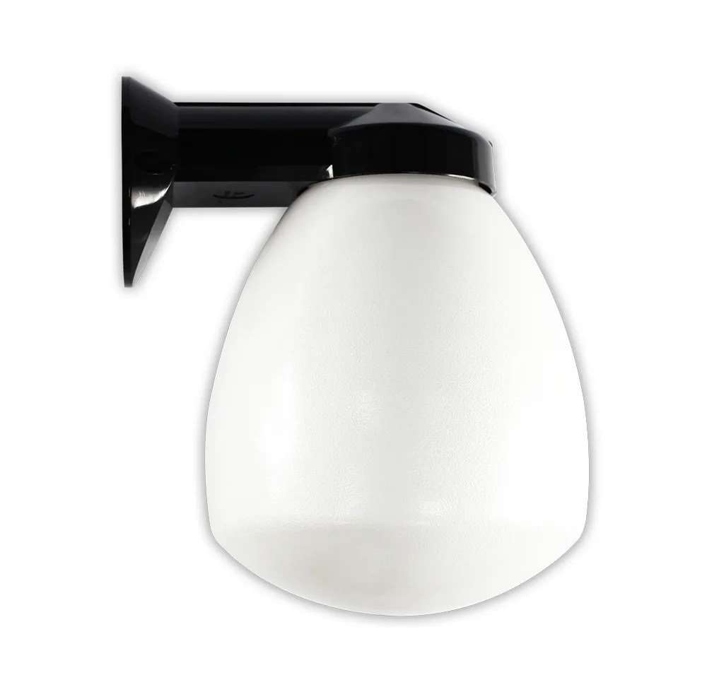 Black Proclain Wall Glass Dome Light