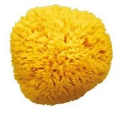 Nuk Natutral Sponge large-40251606