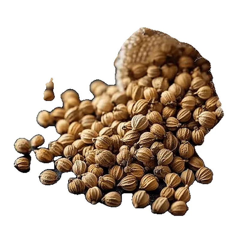 CORRIANDER SEEDS 500G