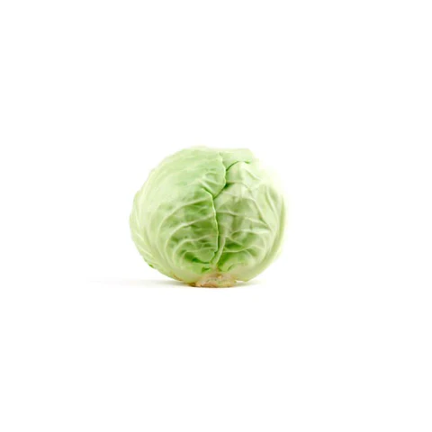 Cabbage White